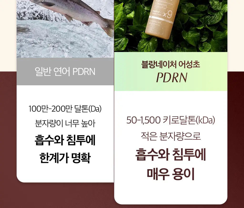 [1만5천원 사은품 한정수량][쿨링진정/대용량]블랑네이처 9배 고농축 어성초 토너 300ml 상세페이지 22